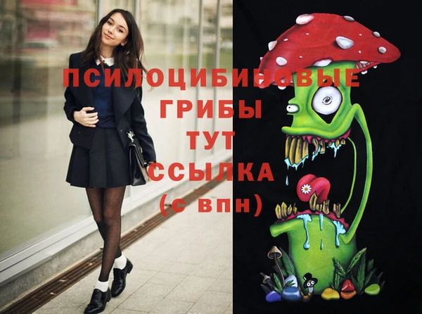 кокаин колумбия Алексин