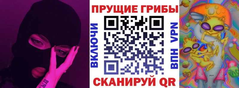 даркнет сайт  hydra зеркало  Псилоцибиновые грибы Psilocybine cubensis  Ардатов 